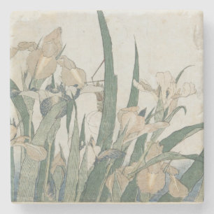 Posavasos De Piedra Flores y saltamontes, c.1830-31 del iris