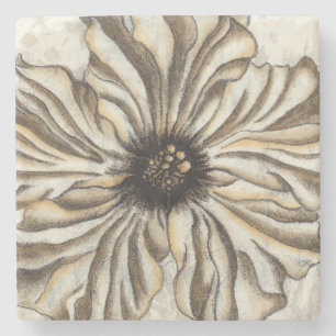 Posavasos De Piedra Flowerhead Fresco en Tan fondo