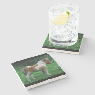 Posavasos De Piedra Fluffy Adorable Dartmoor Pony