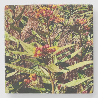 POSAVASOS DE PIEDRA FLUJO DE SALVAJES ROJO EN CAÍDA