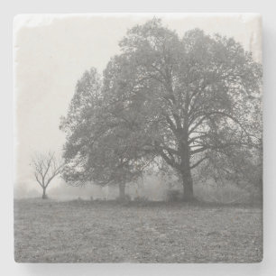 Posavasos De Piedra Foggy Autumn Morning Grayscale