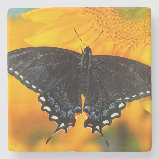 Posavasos De Piedra Forma negra del tigre oriental (Anverso)