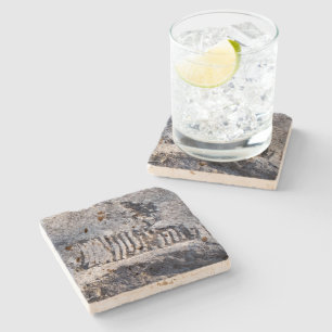 Posavasos De Piedra Fósil cefalópodo nautiloide molusco marino antiguo