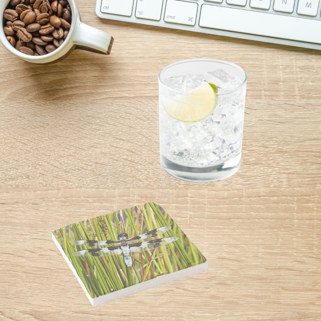Posavasos De Piedra Foto común del Skimmer Dragonfly (In Situ Office)
