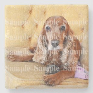 Posavasos De Piedra Foto conmemorativa del Mascota PERSONALIZADA
