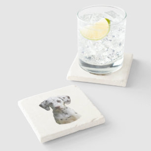 Posavasos De Piedra Foto dálmata del perro de perrito