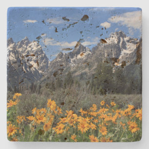 Posavasos De Piedra Foto de recuerdo de Grand Teton Springtime