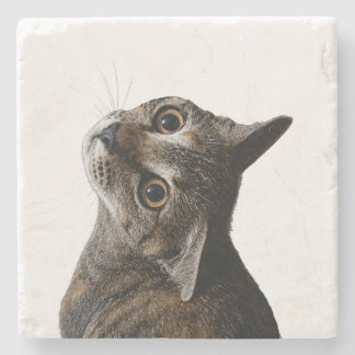 Posavasos De Piedra Foto de retrato de gato atigrado artístico