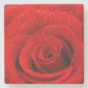 Posavasos De Piedra Foto del fondo del rosa rojo