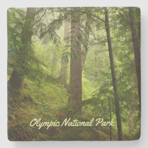 Posavasos De Piedra Foto del Parque Nacional Olímpico