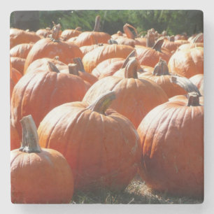 Posavasos De Piedra Fotografía de calabazas para Caída, Halloween o Dí