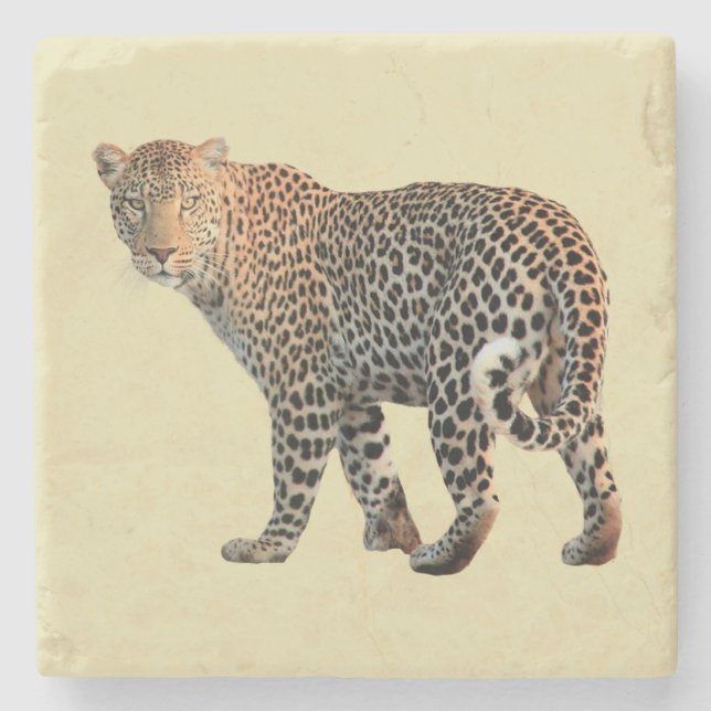Posavasos De Piedra Fotografía de Gato Salvaje de Leopard Spots (Anverso)