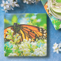 Fotografía de la flor blanca de la mariposa monarc
