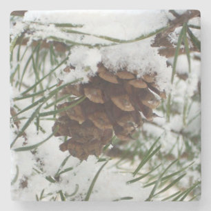 Posavasos De Piedra Fotografía de la naturaleza de la nieve de Pine Co