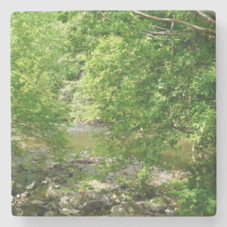 Posavasos De Piedra Fotografía de la naturaleza de Maryland con vistas