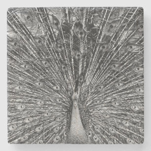 Posavasos De Piedra Fotografía de pavo real en blanco y negro