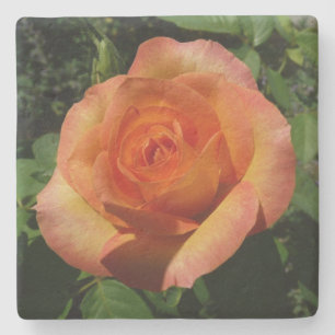 Posavasos De Piedra Fotografía de Peach Rosa Naranja Floral