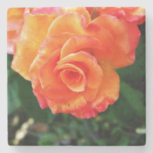 Posavasos De Piedra Fotografía de rosa naranja vibrante
