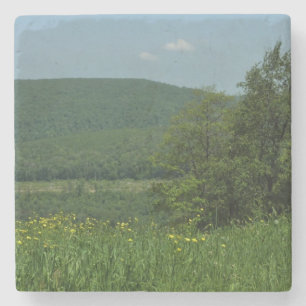 Posavasos De Piedra Fotografía de verano de Laurel Highlands Pennsylva