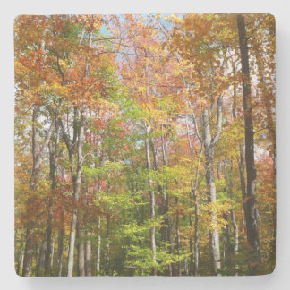 Posavasos De Piedra Fotografía del paisaje otoñal del bosque otoñal II