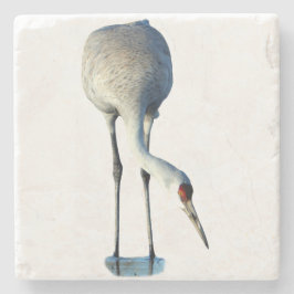 Posavasos De Piedra Fotomadera de grulla de las praderas