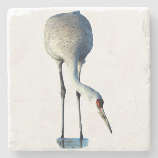 Posavasos De Piedra Fotomadera de grulla de las praderas