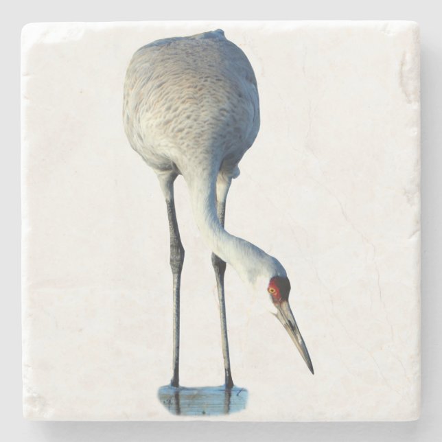 Posavasos De Piedra Fotomadera de grulla de las praderas (Anverso)