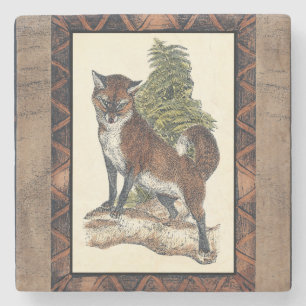 Posavasos De Piedra Fox Rústica pisando un tronco de árbol