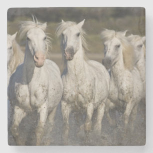 Posavasos De Piedra Francia, Camargue. Caballos corren