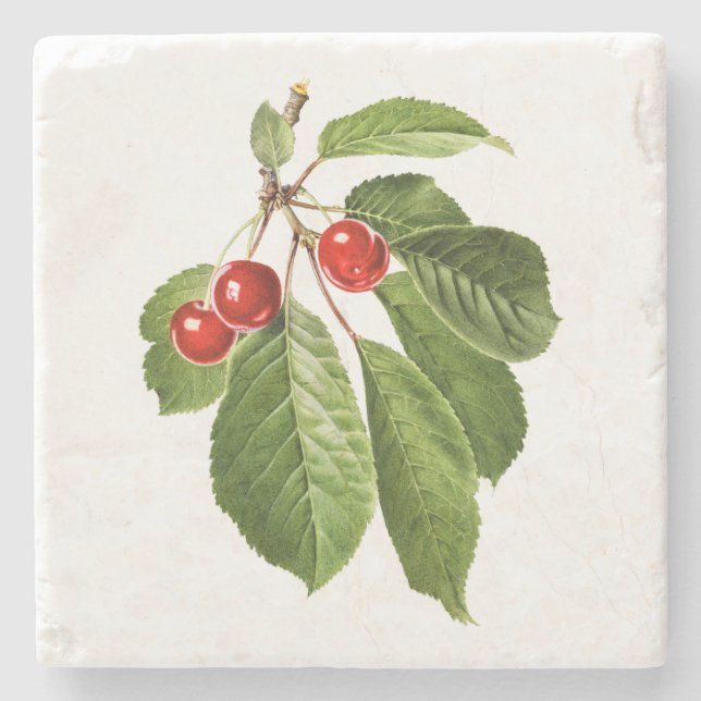 Posavasos De Piedra Frutas: A015 Cherry - (Anverso)