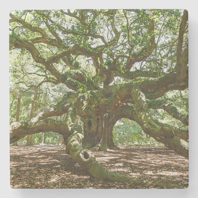 Posavasos De Piedra Fuerte e intrépido (Anverso)