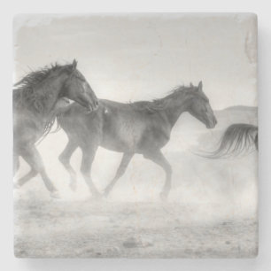 Posavasos De Piedra Funcionamiento del mustango