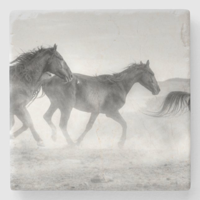 Posavasos De Piedra Funcionamiento del mustango (Anverso)