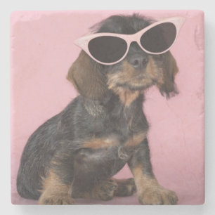 Posavasos De Piedra Gafas de sol que llevan del perrito del Dachshund