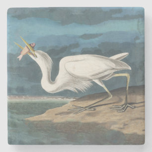 Posavasos De Piedra Garza Blanca Grande de Audubon: Ave Costera Vintag
