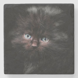 Posavasos De Piedra Gatito