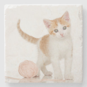 Posavasos De Piedra Gatito al lado de la bola de la secuencia