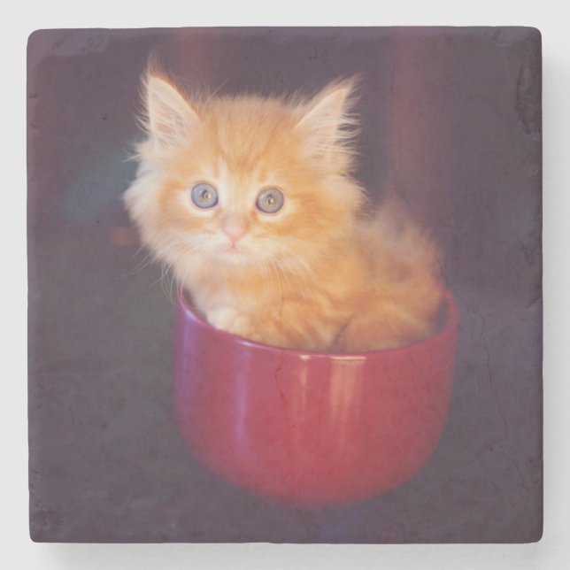 Posavasos De Piedra Gatito anaranjado en una taza roja (Anverso)