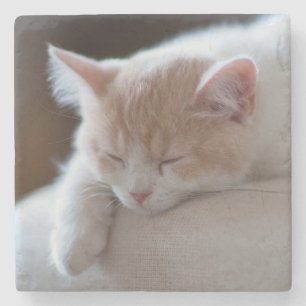 Posavasos De Piedra Gatito beige y blanco cansado