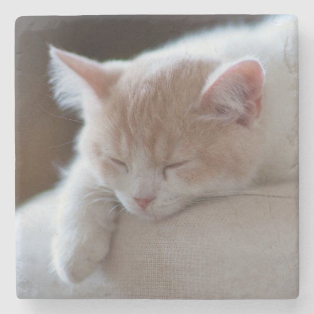 Posavasos De Piedra Gatito beige y blanco cansado (Anverso)