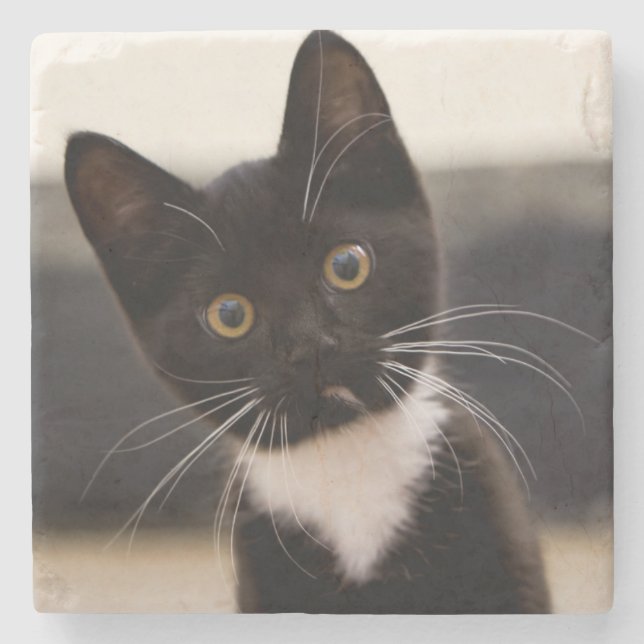 Posavasos De Piedra Gatito blanco y negro lindo del smoking (Anverso)