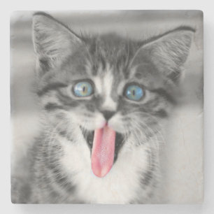 Posavasos De Piedra Gatito divertido