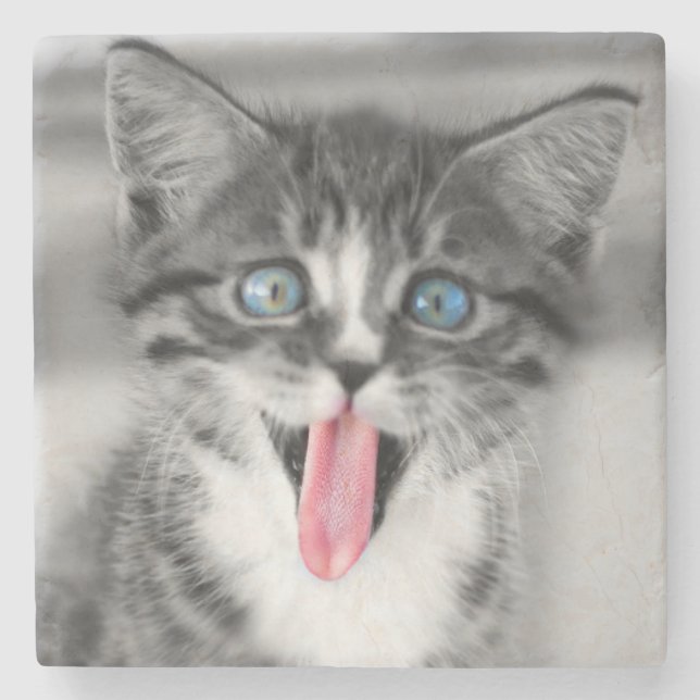 Posavasos De Piedra Gatito divertido (Anverso)