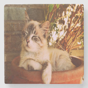Posavasos De Piedra Gatito Dormilón Cómodo