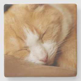 Posavasos De Piedra Gatito durmiente