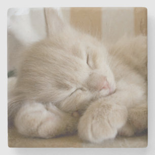 Posavasos De Piedra Gatito el dormir