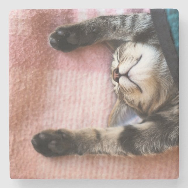 Posavasos De Piedra Gatito el dormitar (Anverso)