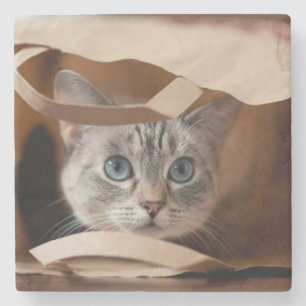 Posavasos De Piedra Gatito en bolso de ultramarinos