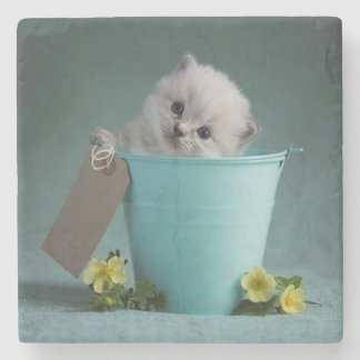 Posavasos De Piedra Gatito en un cubo