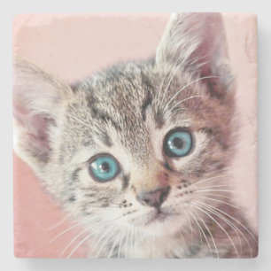 Posavasos De Piedra Gatito lindo con los ojos azules